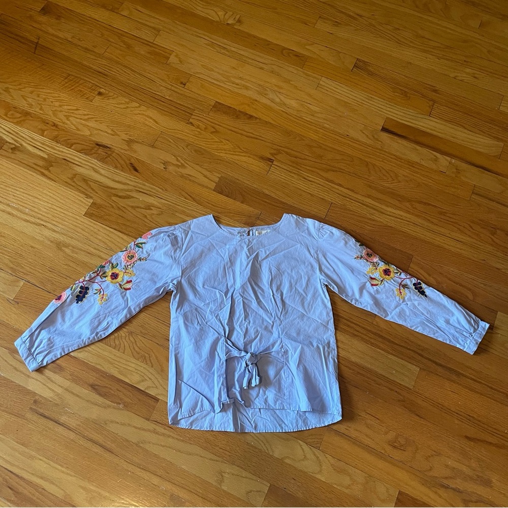 Zara Blue Embroidered Blouse